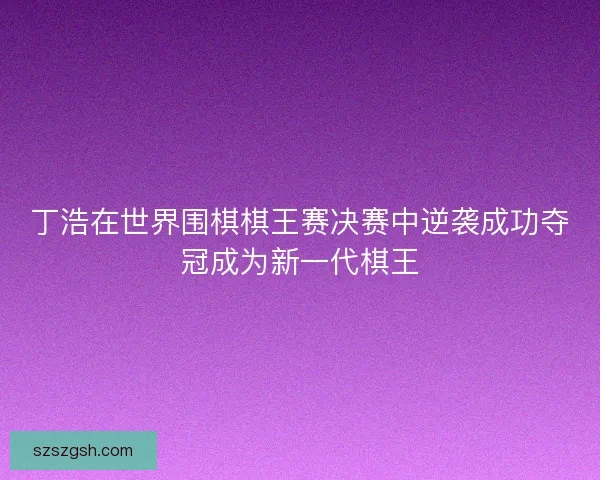 丁浩在世界围棋棋王赛决赛中逆袭成功夺冠成为新一代棋王