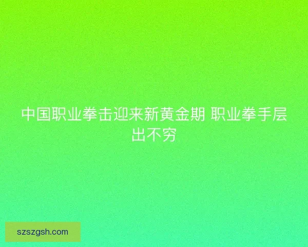 中国职业拳击迎来新黄金期 职业拳手层出不穷