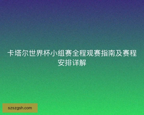 卡塔尔世界杯小组赛全程观赛指南及赛程安排详解