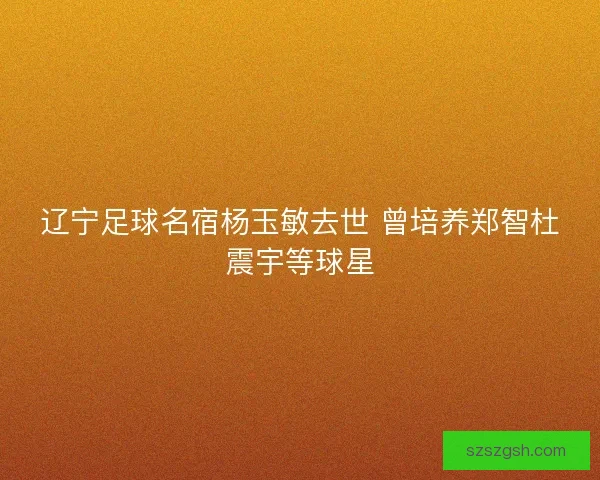 辽宁足球名宿杨玉敏去世 曾培养郑智杜震宇等球星 辽宁足球名宿杨玉敏去世 曾培养郑智杜震宇等球星